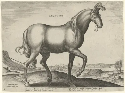 Armenius