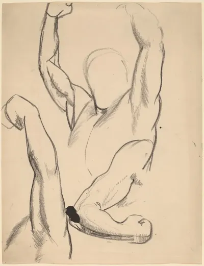 Arms Of A Boxer