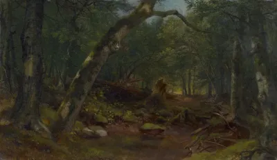 Artists Lane After A Shower