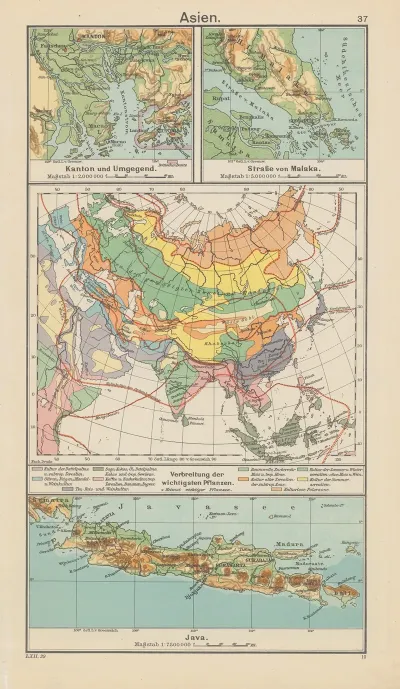 Asien Verbreitung‎ ‎der‎ ‎wichtigsten‎ ‎pflanzen