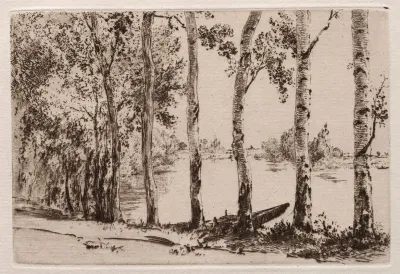 Aspens On The Bank Of The Seine