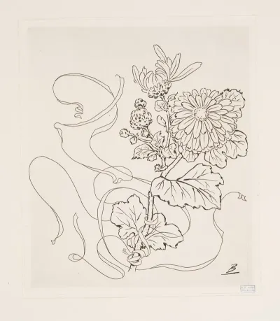 Assiette Reine Marguerite
