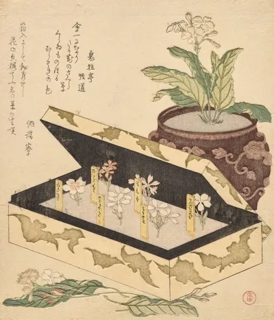 Assortment Of Primroses In A Lacquer Box