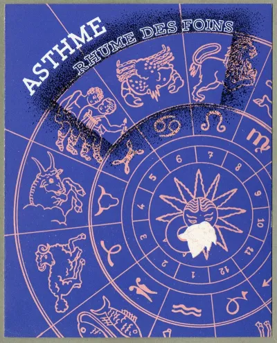 Asthme Rhume Des Foins