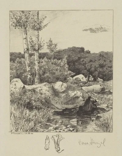 At A Stream