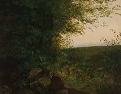 At The Edge Of The Forest 2