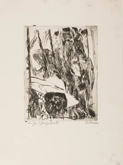 At The Zoo 2