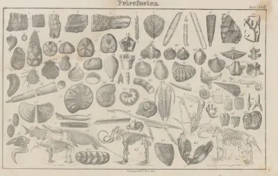 Atlas Der Abbildungen Pierers Universal Lexikon Pl 20