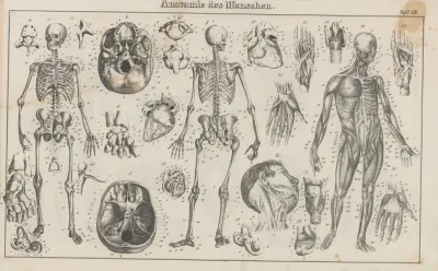 Atlas Der Abbildungen Pierers Universal Lexikon Pl 21