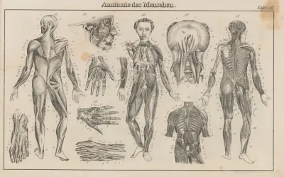 Atlas Der Abbildungen Pierers Universal Lexikon Pl 22