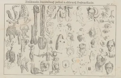 Atlas Der Abbildungen Pierers Universal Lexikon Pl 24