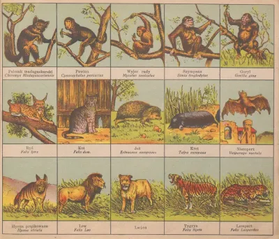 Atlasik Zoologiczny Z Tekstem Polsko Lacinskim Do Uzytku Szkolnego Pl 05