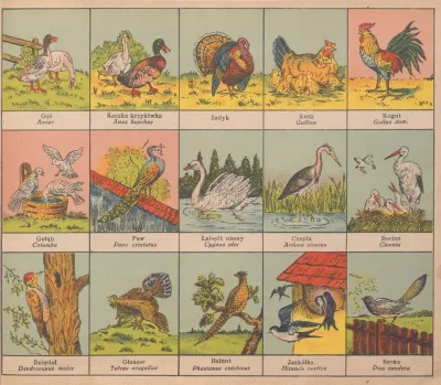 Atlasik Zoologiczny Z Tekstem Polsko Lacinskim Do Uzytku Szkolnego Pl 07