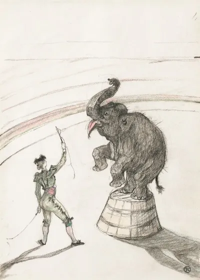 Au Cirque Elephant En Liberte