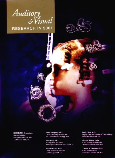 Auditory And Visual Research In 2001