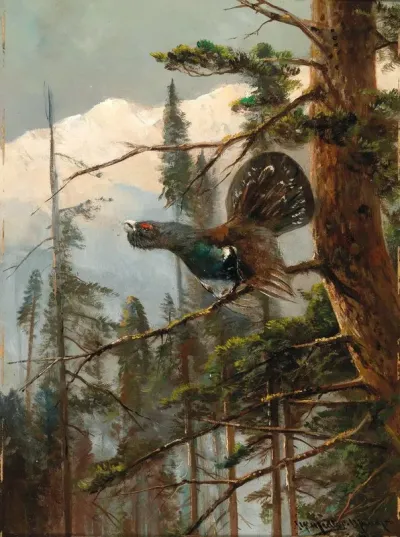 Auerhahn 2