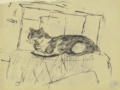 Auf Einem Mobelstuck Liegende Katze