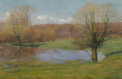 Aulandschaft Im Vorfruhling