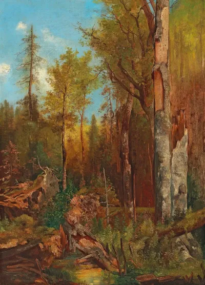 Aus Den Forsten Des Fursten Schwarzenberg