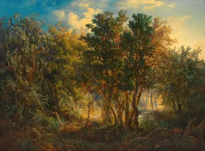 Australischer Urwald