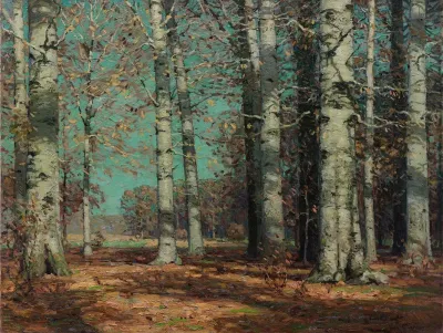 Autumn Beeches
