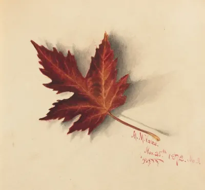 Autumn Leaf