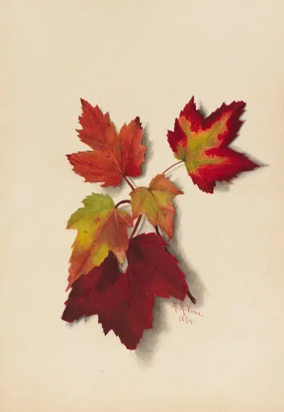 Autumn Leaves 5