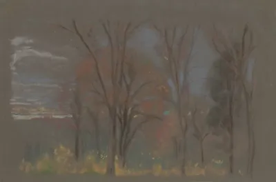 Autumn Woods