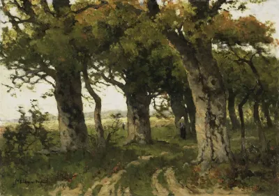 Avenue Of Oaks In Late Summer