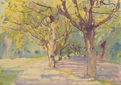 Avenue Of Plane Trees 2