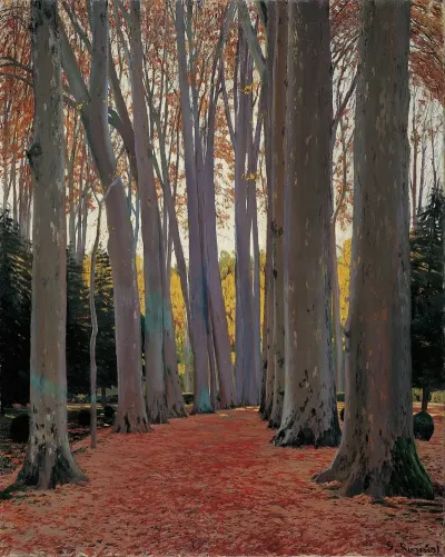 Avenue Of Plane Trees
