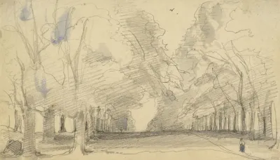 Avenue Of Trees