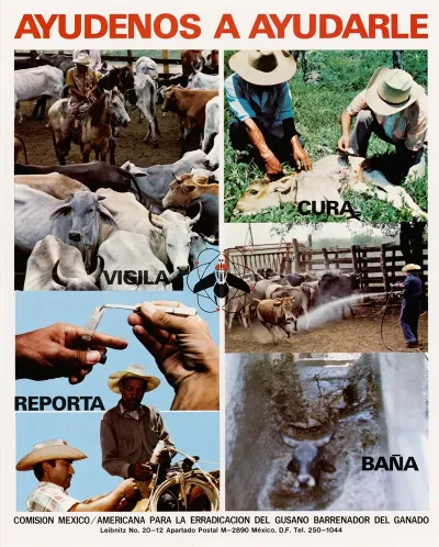 Ayudenos A Ayudarle