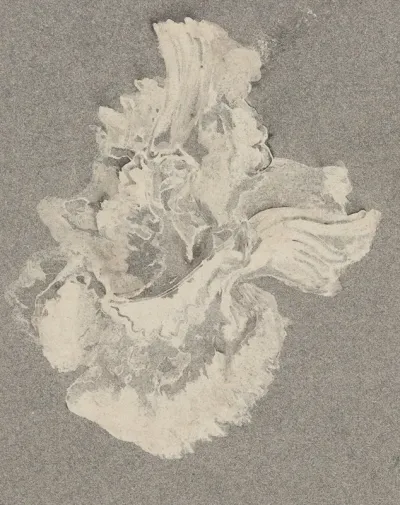 Azaleabloem