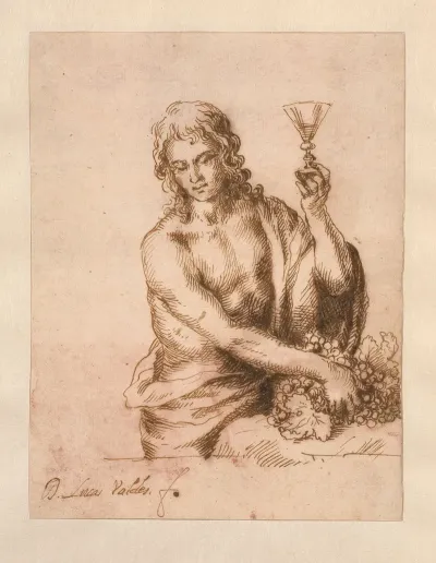 Bacchus 16