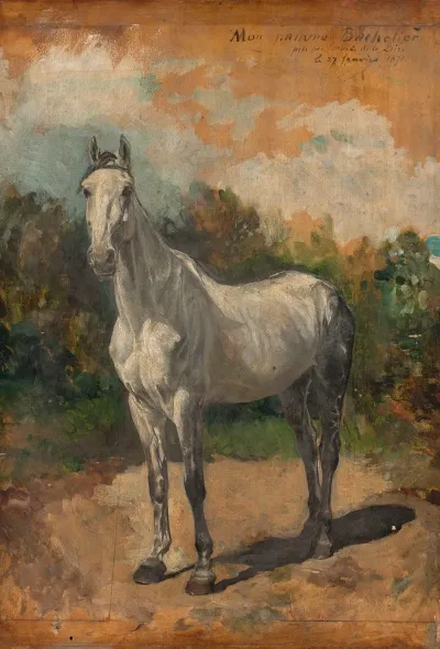 Bachelier Cheval De Lartiste