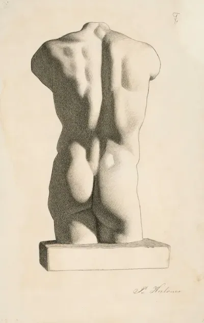 Back Of A Male Torso