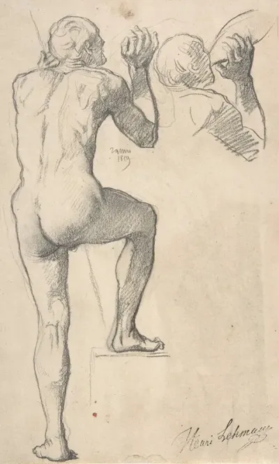 Back View Of A Male Nude