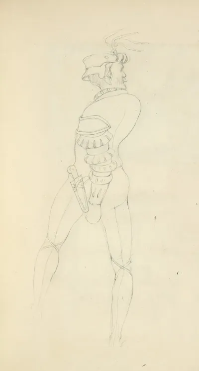 Back View Of A Man