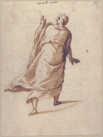 Back View Of A Standing Man In A Long Cloak