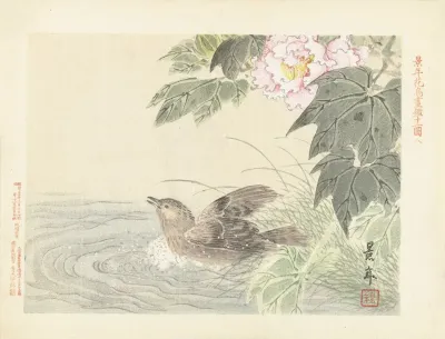 Badende Vogel Bij Roze Bloem