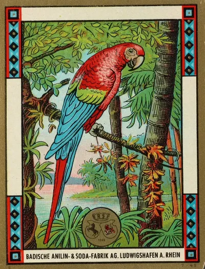 Badische Anilin Soda Fabrik Dye Label With Macaw