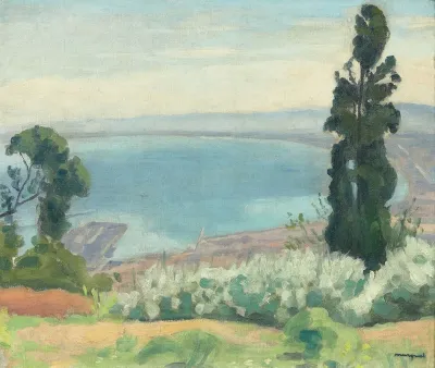 Baie Dalger Vue Del Biar