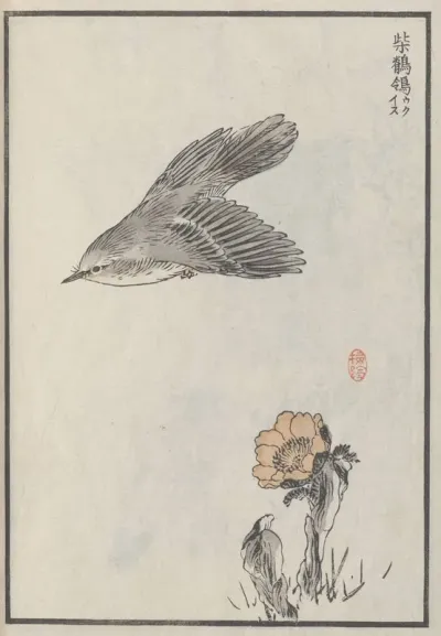 Bairei Hyakucho Gafu Ten Pl 02