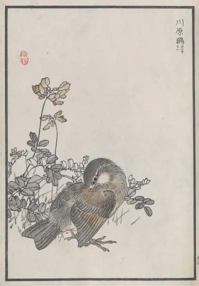 Bairei Hyakucho Gafu Ten Pl 05
