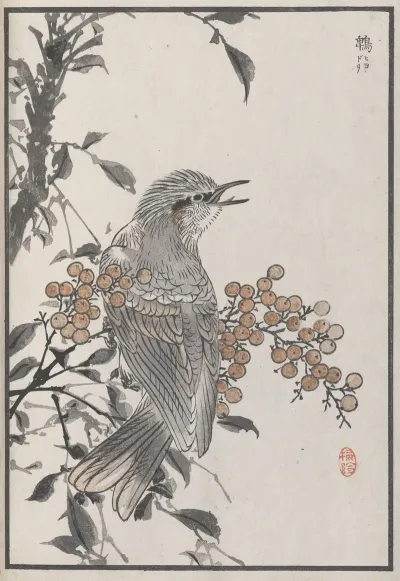 Bairei Hyakucho Gafu Ten Pl 06