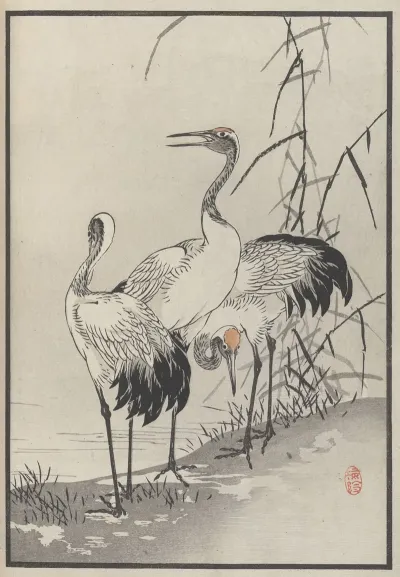 Bairei Hyakucho Gafu Ten Pl 08