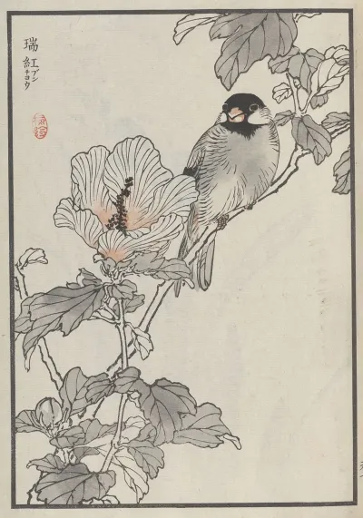 Bairei Hyakucho Gafu Ten Pl 13