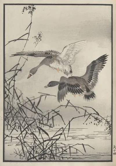 Bairei Hyakucho Gafu Ten Pl 27