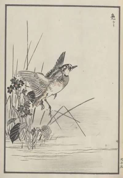 Bairei Hyakucho Gafu Ten Pl 29